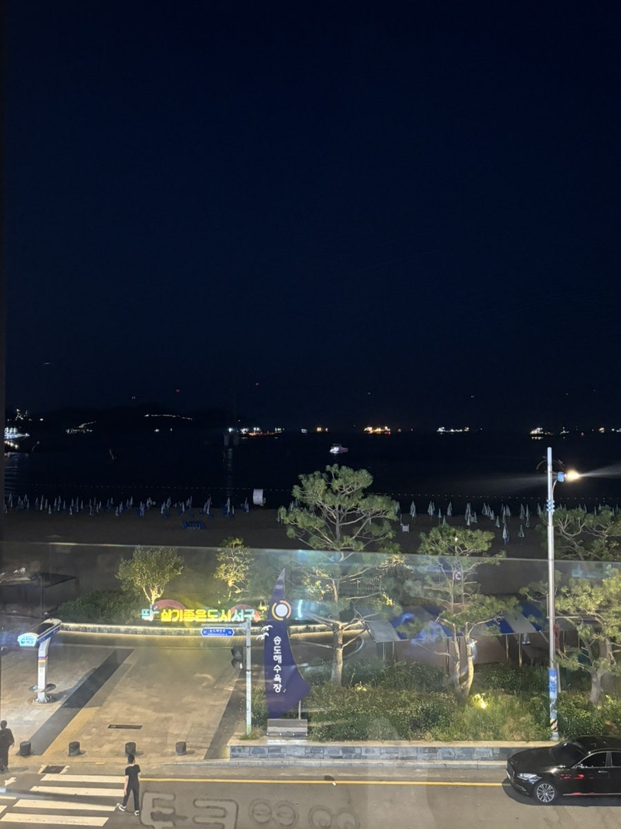 송도통큰조개 사진 4