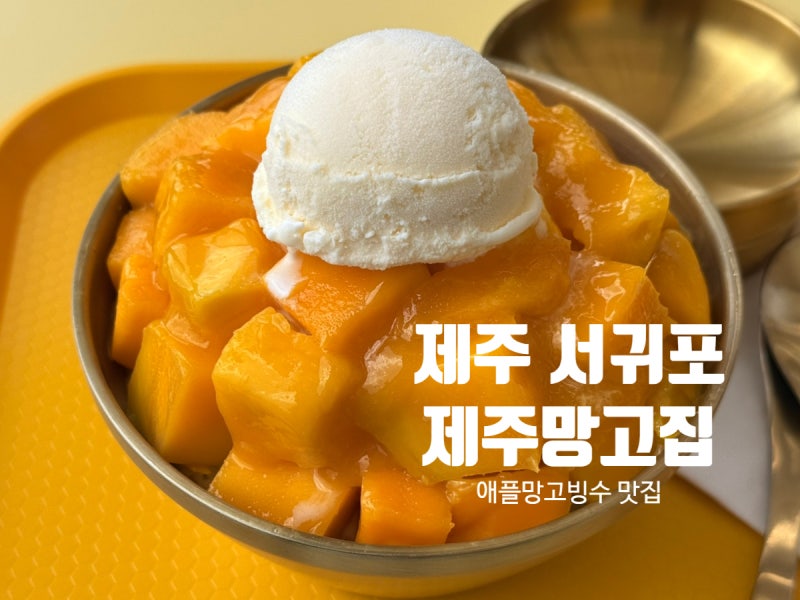 제주 애플망고빙수 맛집 제주망고집 솔직후기 / 애플망고 직판장