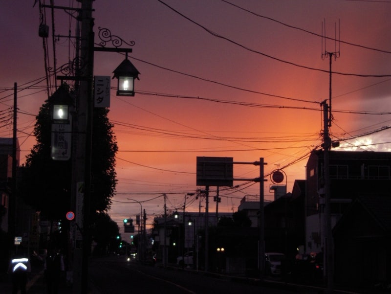 빈티지 디카 싸게 사는 법 + 니콘 쿨픽스 Nikon coolpix S600 작례