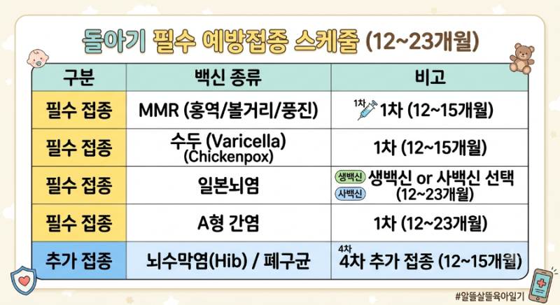 돌아기 돌접종 총정리: 백신 종류·일정·접종 전후 주의사항·발열 대처 가이드
