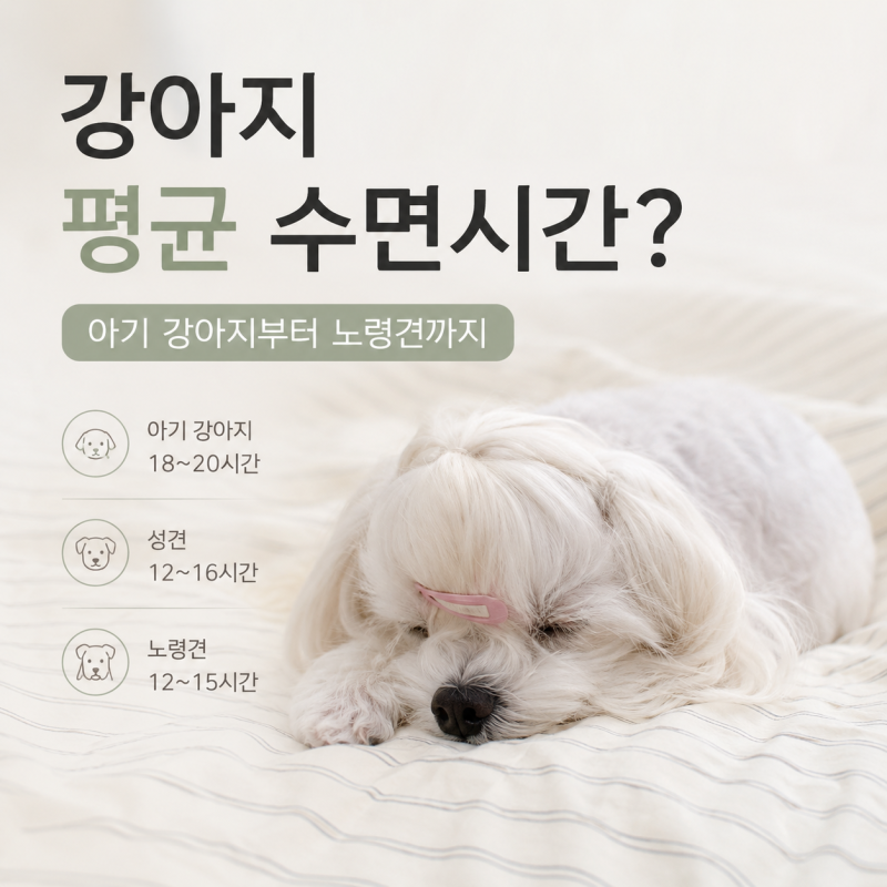 강아지 평균 수면시간? 아기 강아지부터 노령견까지