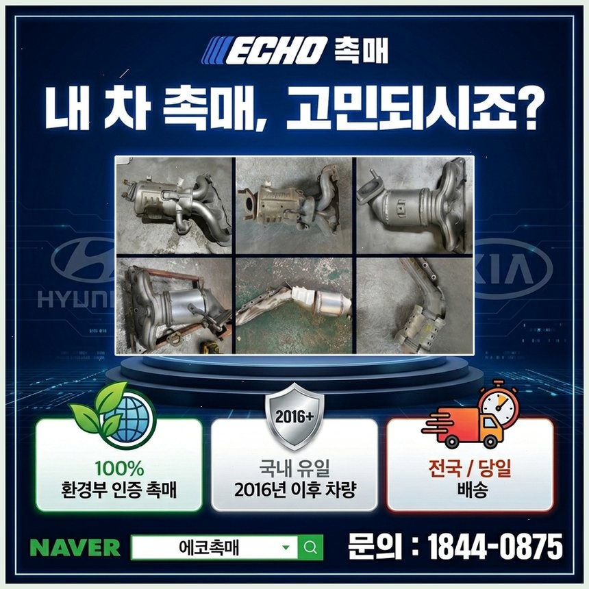 봄 사진 1