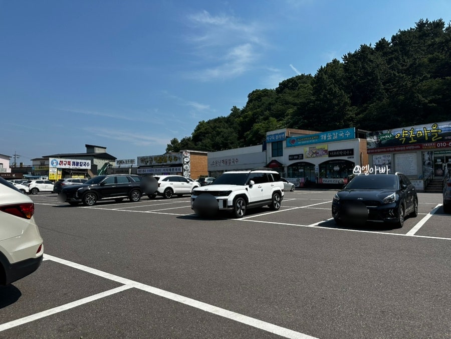 청개구리식당 사진 4