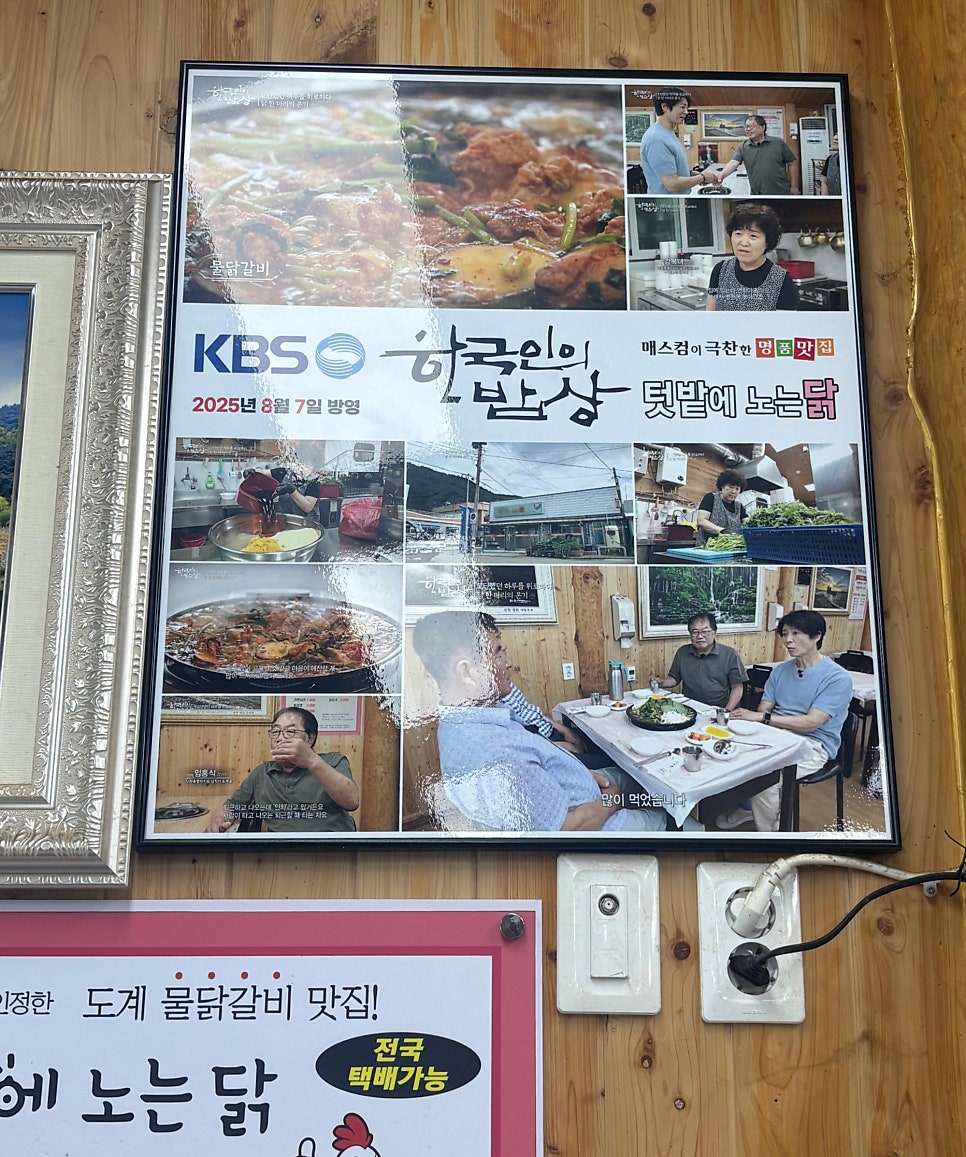 텃밭에노는닭 사진 3