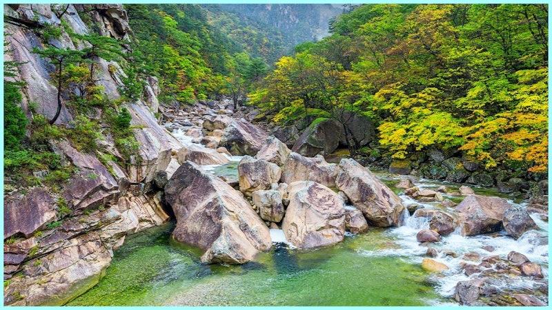 "지리산·한라산과 어깨 겯는 3대 계곡".. 설악산 왕복 15km 팩트 팁