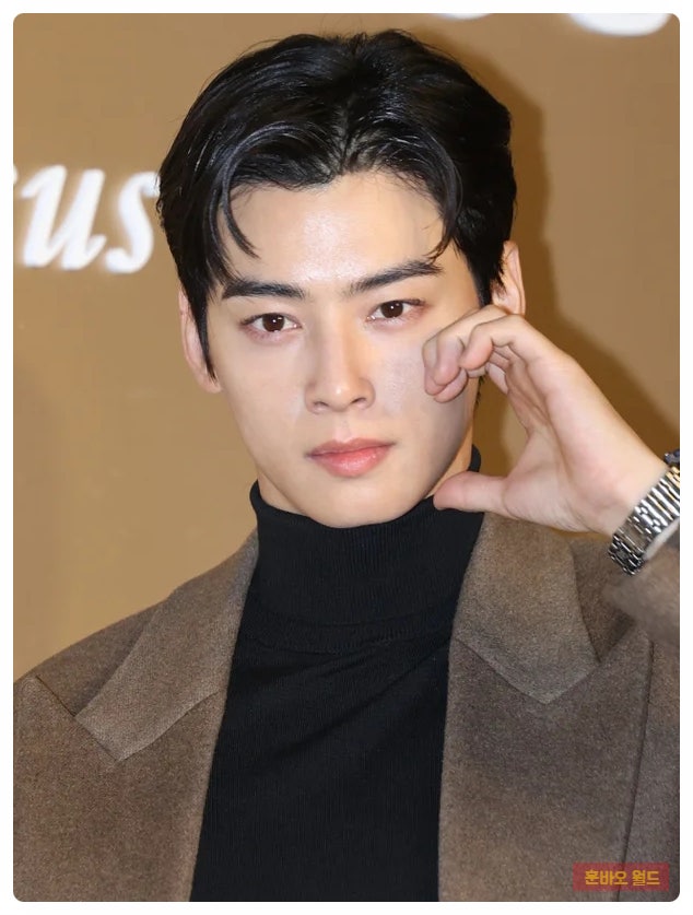 <b>차은우</b> 130억 세금 다 내고 <b>조세심판 청구</b>…‘완납 후 불복’... 