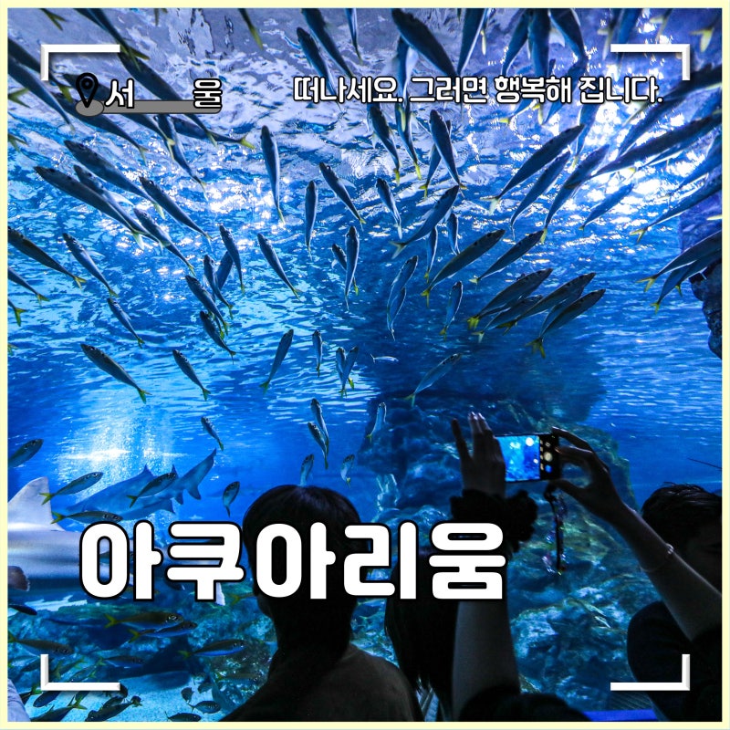 코엑스 아쿠아리움 최저가 예약 팁