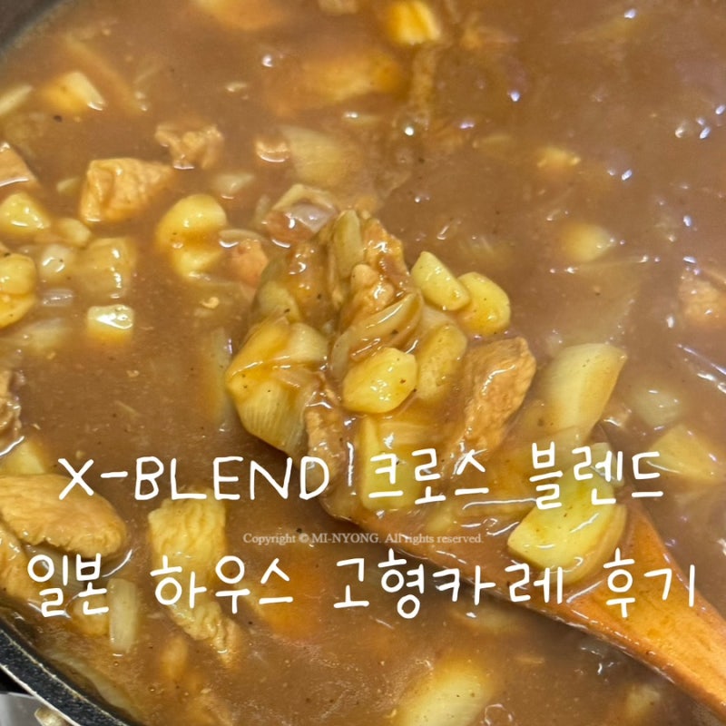 하우스 X-BLEND 크로스 블렌드 카레 후기 | 일본 카레 추천, 바몬드카레 비교