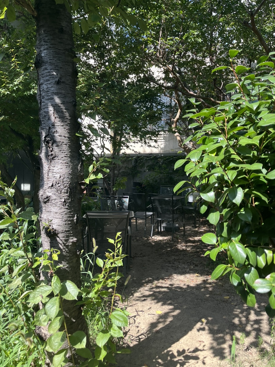 도심 사진 3