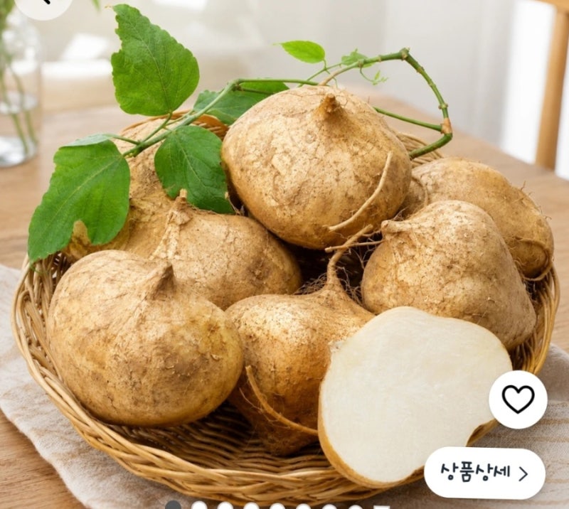 멕시코 감자 ‘히카마’, 배처럼 아삭하고 담백한 뿌리채소