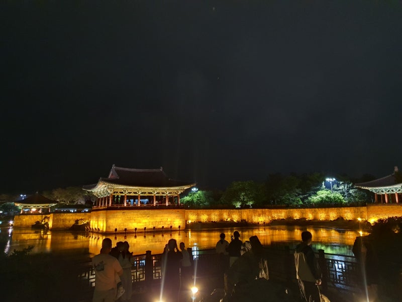 경주 투어버스 예매 방법 할인 정보 총정리