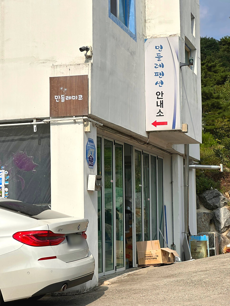 민들레미코 사진 3