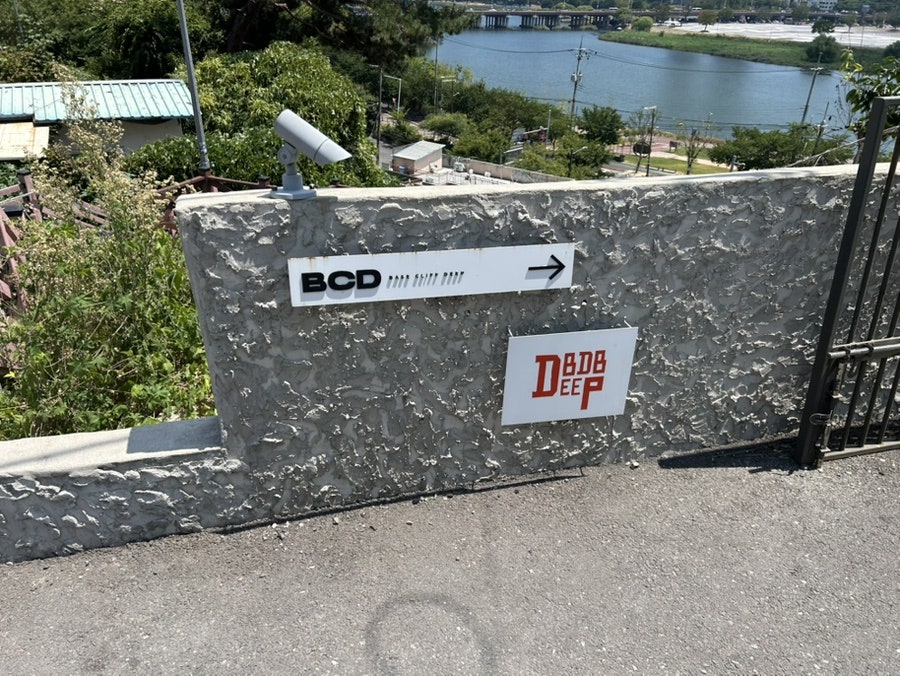 디비디비딥 사진 3