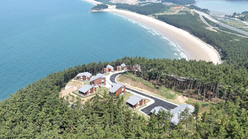 보령 원산도 자연휴양림 경쟁률 589대 1 찍은 곳, 예약방법·숙박요금 총정리 (해별채 5동 추가....