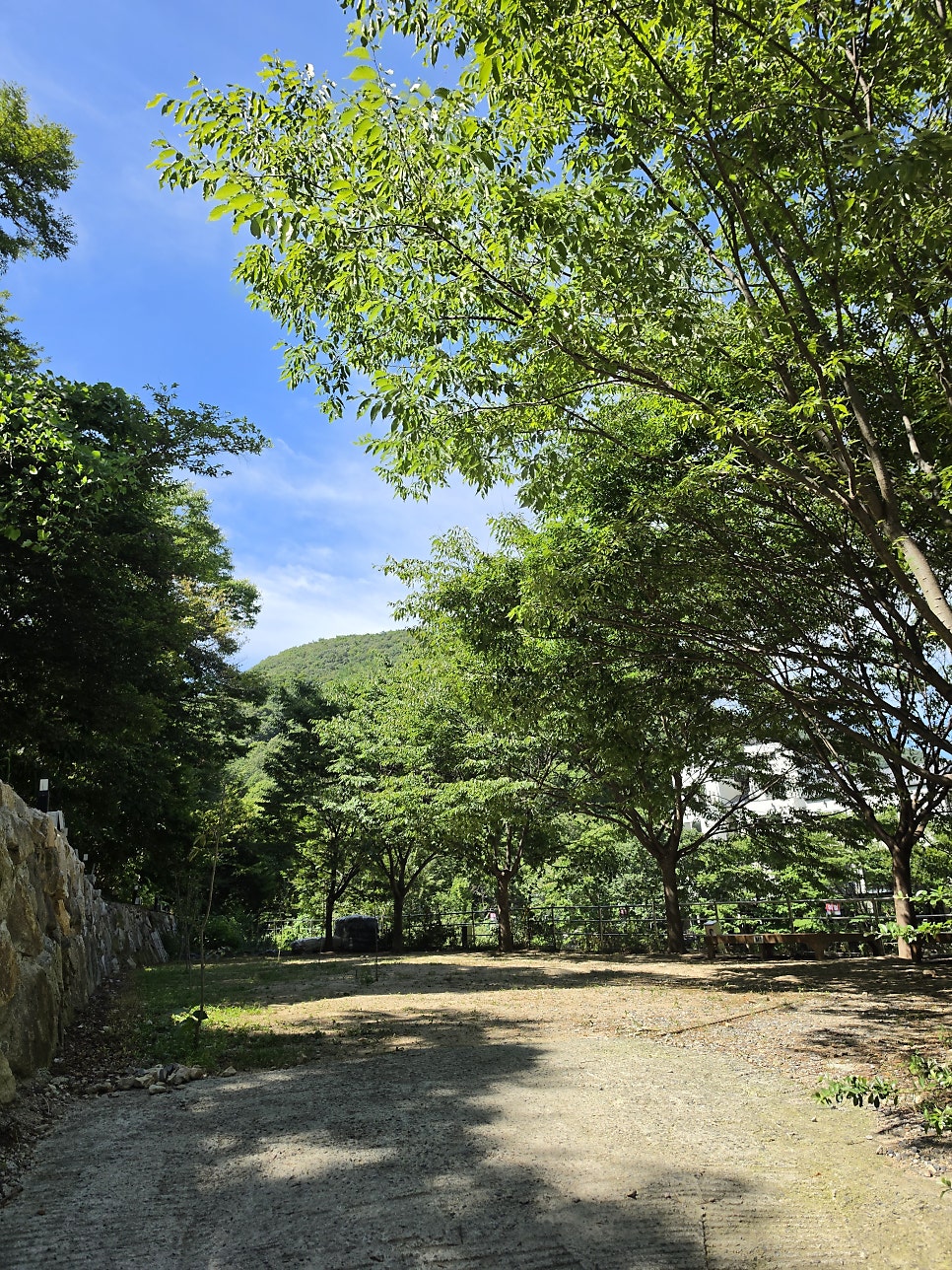 배내골캠핑장산책로 사진 2