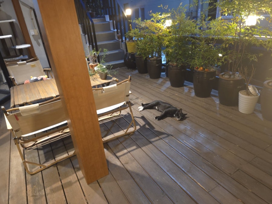 공담 사진 3