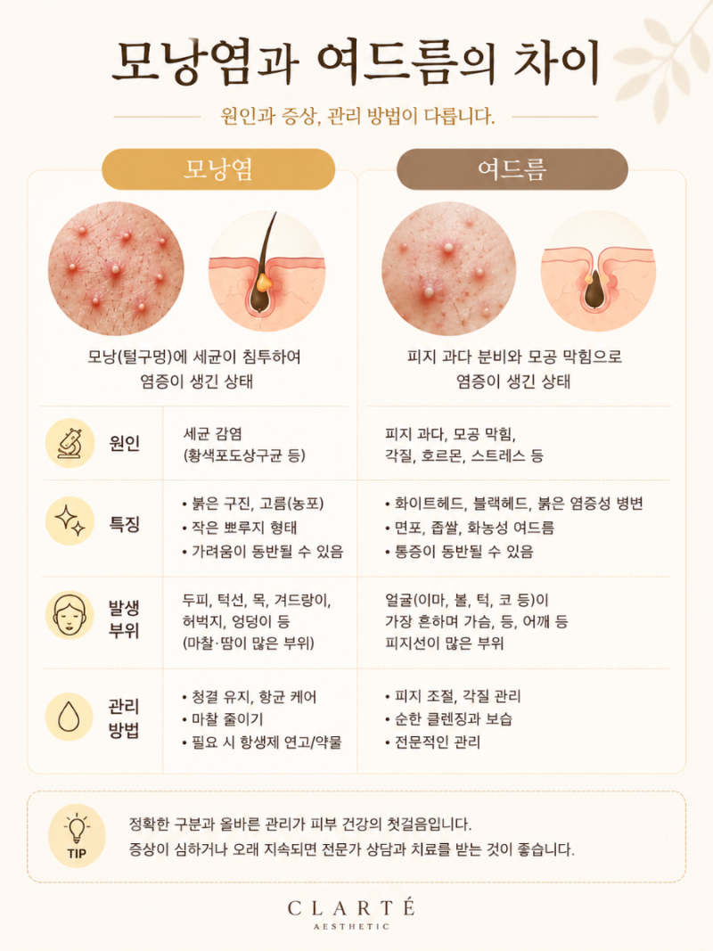 모낭염? 여드름? 차이부터 종류·원인·관리법까지 한 번에 정리! | 동대구 피부관리 끌라르떼....