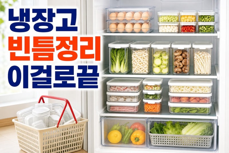 다이소 냉장고 정리 보관용기 추천템, 천 원대부터 실패 줄이는 4가지 선택법