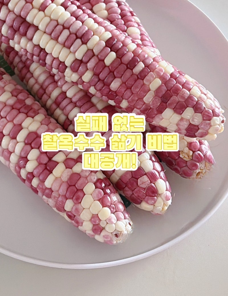 찰옥수수 삶는 법! 실패 없는 황금비율 (소금·설탕 비율, 삶는 시간, 보관법)