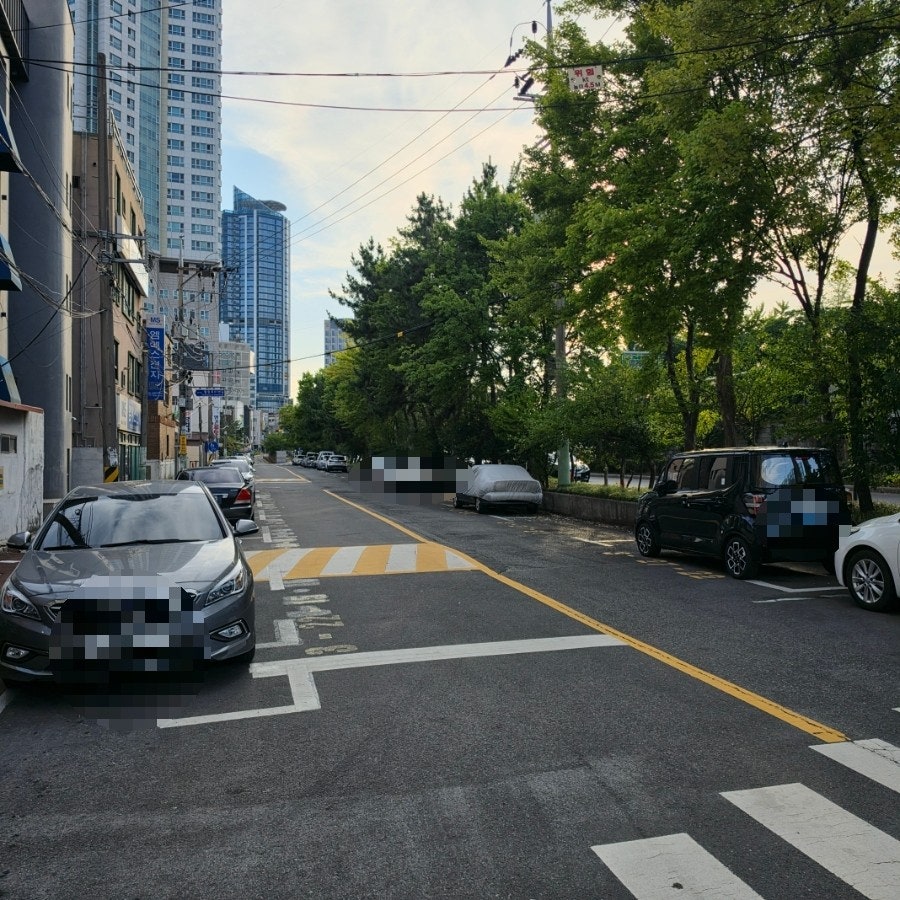 금성회락 사진 4