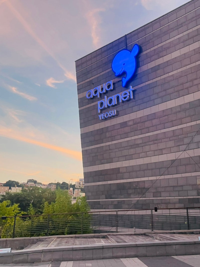 여수 엑스포 빅오쇼 후기, 무료라고 믿기 힘든 화려한 분수쇼 관람