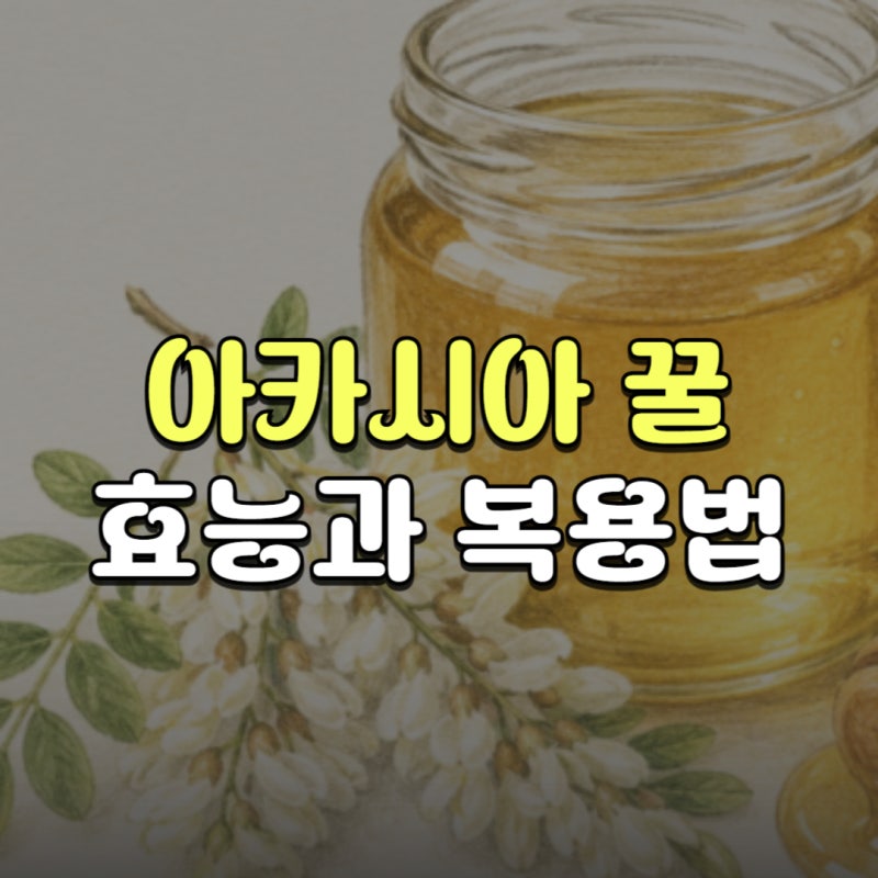 아카시아 꿀 효능 복용법 3가지와 먹으면 안 되는 사람