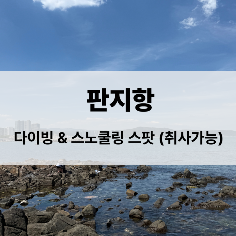 [판지항] 울산 강동 물놀이 다이빙 스노쿨링 명소 + 숨겨진 물놀이 스팟 공유 (물고기, 뿔소라....