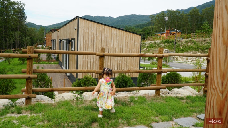 2026 여름휴가. 강원도 고성 진부령자연휴양림, 소똥령마을 계곡(4살, 10개월아기랑)