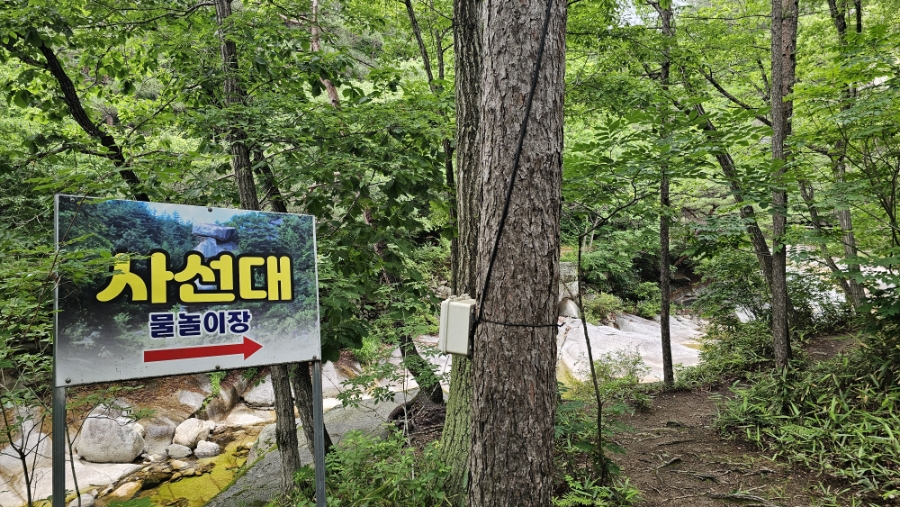 월성계곡 사진 2