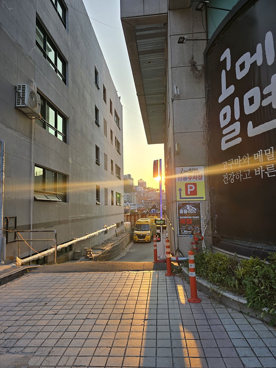 고메밀면 사진 1