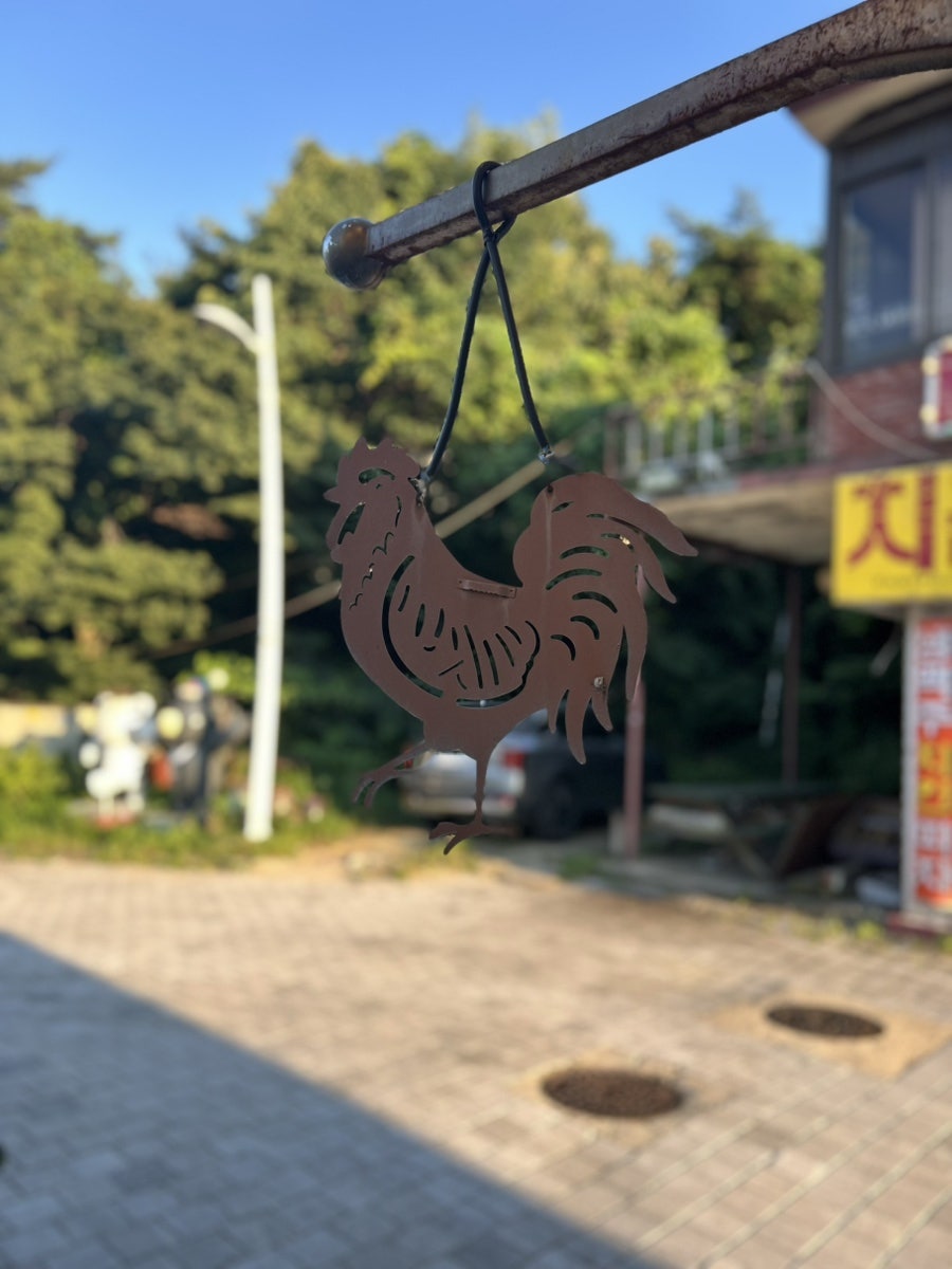 페리카나 설악동점 사진 5