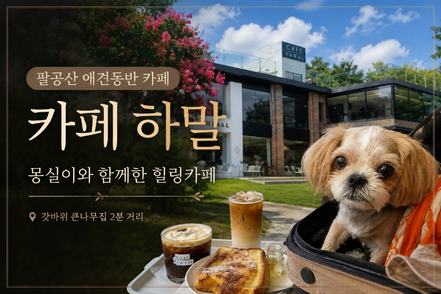 하말 사진 2