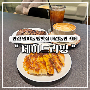 안산 월피동 빵맛집 애견동반 카페 데이드리밍 (n번째 방문)
