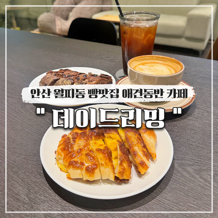 안산 월피동 빵맛집 애견동반 카페 데이드리밍 (n번째 방문)