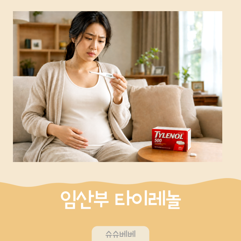 임산부 타이레놀 500 임신초기 두통 감기 열날 때 꼭 알아야 할 복용 주의사항