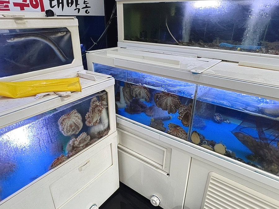 대박통 연산점 사진 2