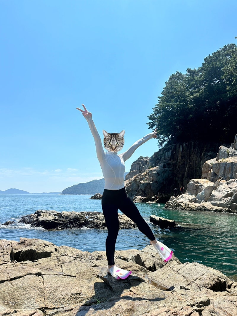 거제 구조라해수욕장 윤돌섬 주차 샤워장 해파리 먹거리까지 총정리