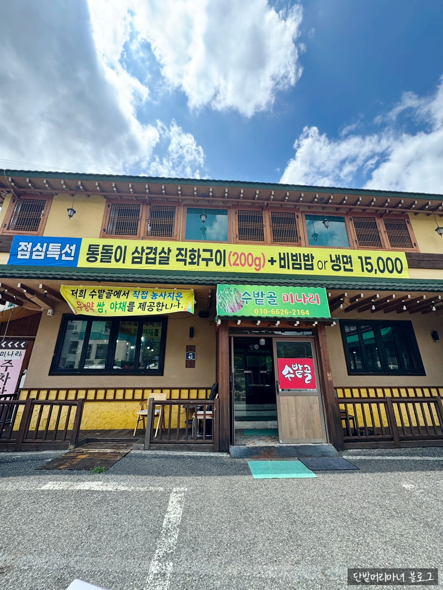 수밭골 미나리 사진 1
