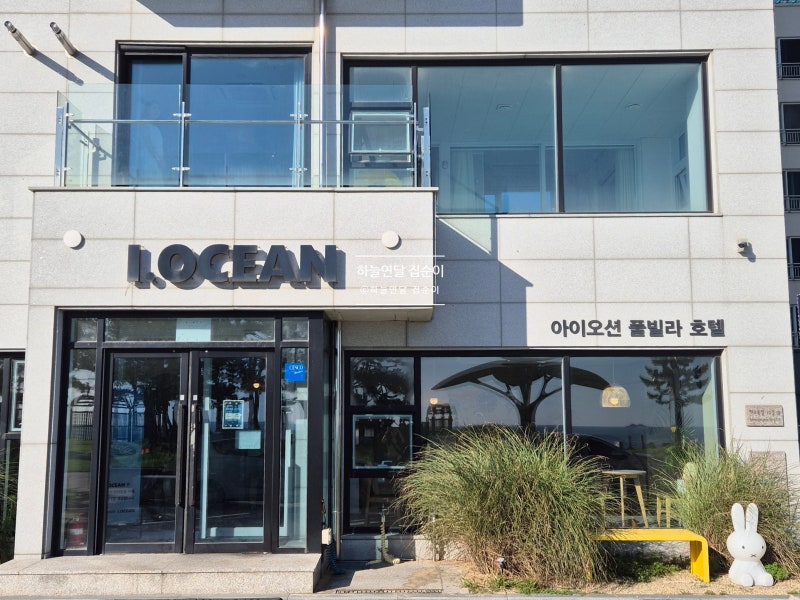 Daecheon I-Ocean Hotel Pool Villa Review: A 2-Night, 3-Day Stay in an 8th-Floor Suite, Perfect Accommodation for the Mud Festival