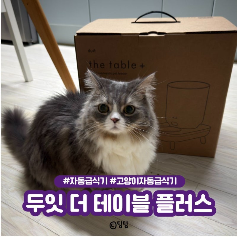 두잇 자동급식기 한달 써본 솔직후기, 고양이 급식기 추천