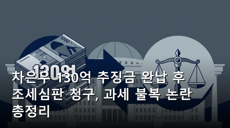 <b>차은우</b> 130억 추징금 완납 후 <b>조세심판 청구</b>, 과세 불복 논란... 