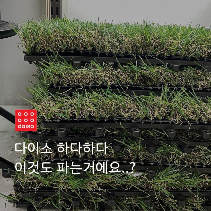 다이소가 이번에 또 희귀한걸 들여왔네요..? 레어템 4가지