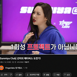 선미 NFT '선미야클럽' 먹튀 논란 및 전말 총정리