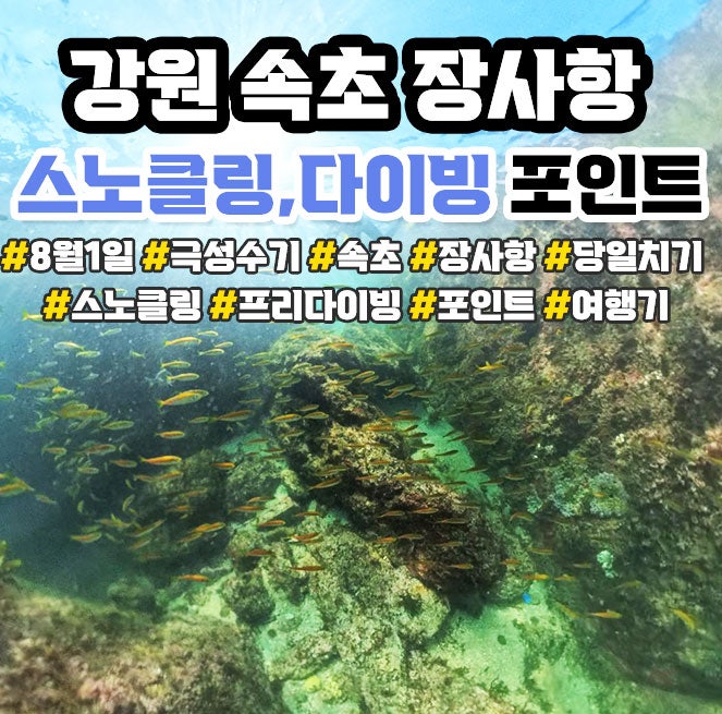 Day Trip to Jangsa-hang, Sokcho for Snorkeling and Diving