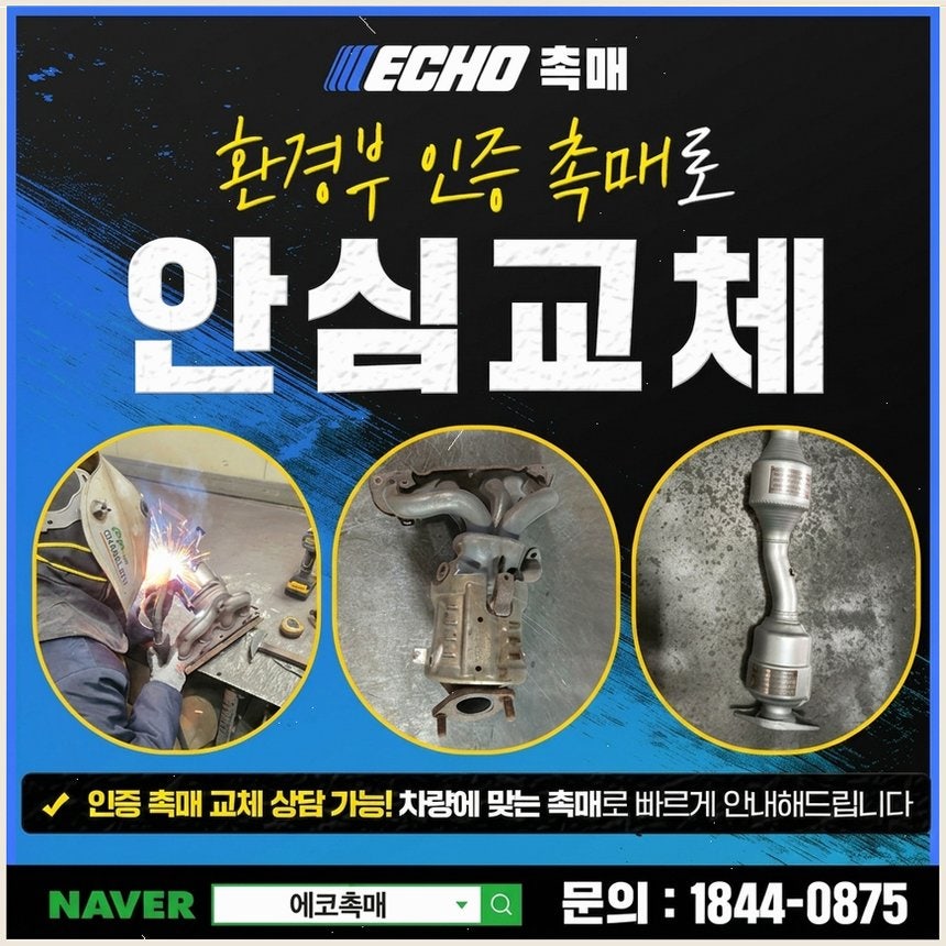 봄 사진 4