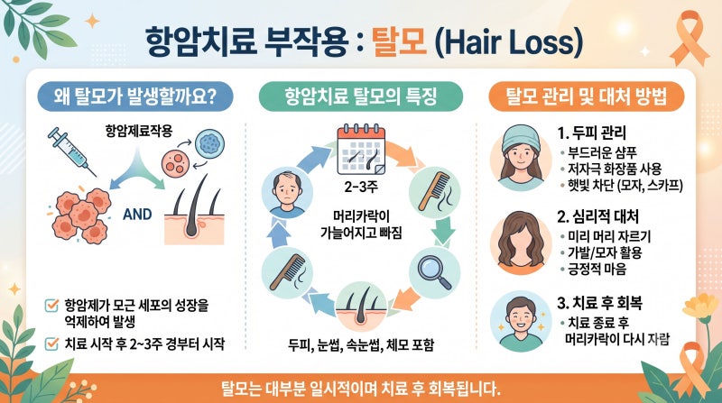 항암 중 탈모 부작용 항암제 종류와 회복 시기