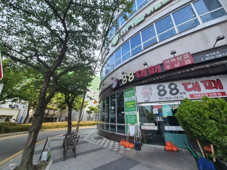 88대패 사진 2