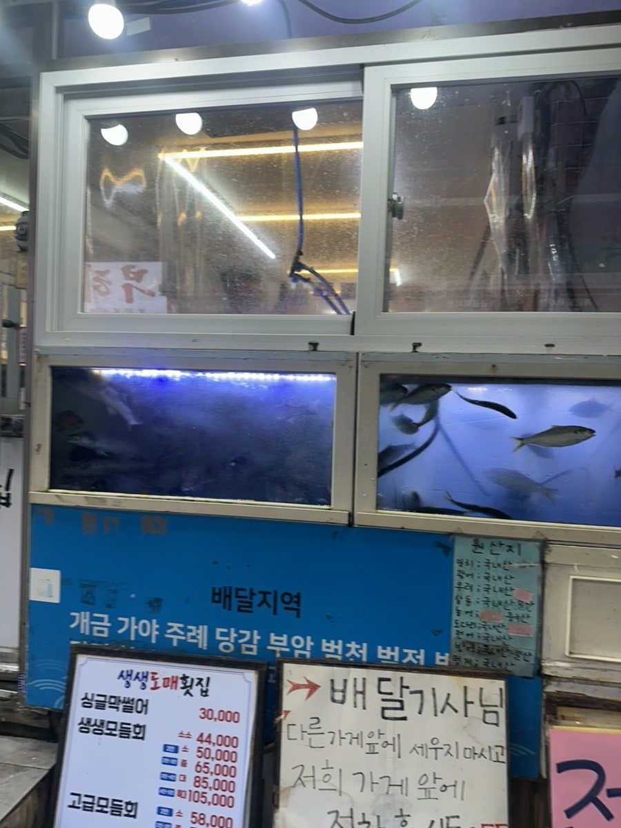 생생도매횟집 사진 3