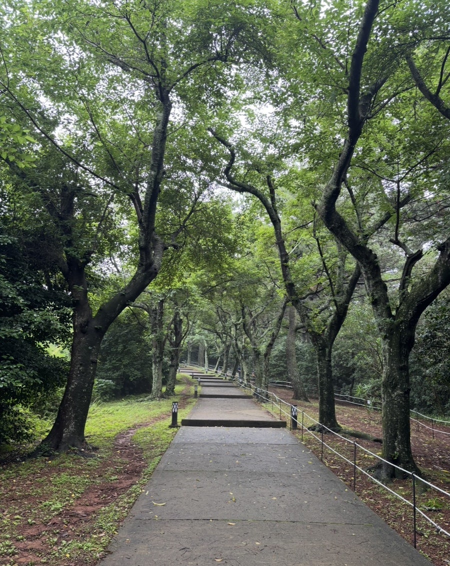 만세동산 사진 6