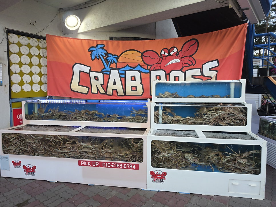 삼척보스대게 본점 사진 2